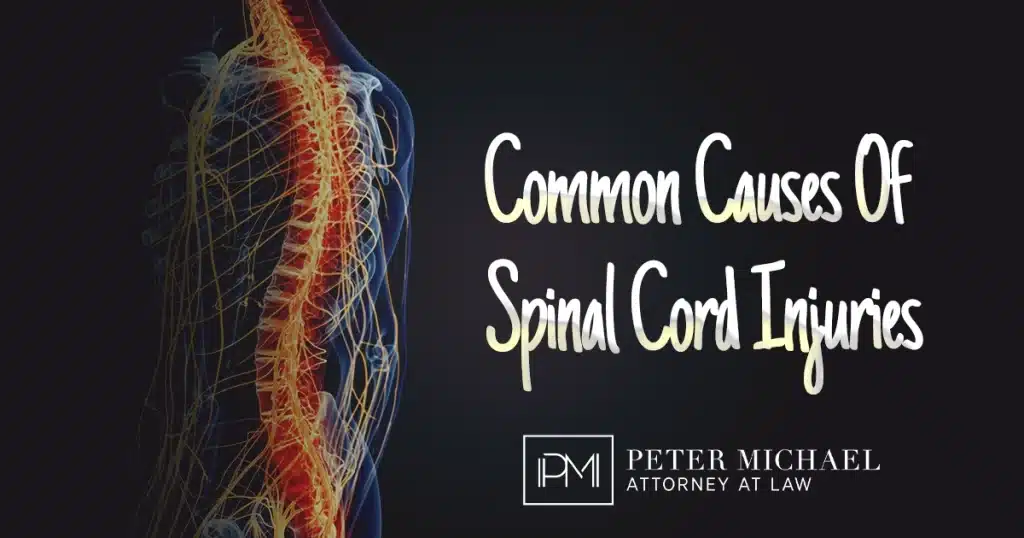 Spinal-Cord